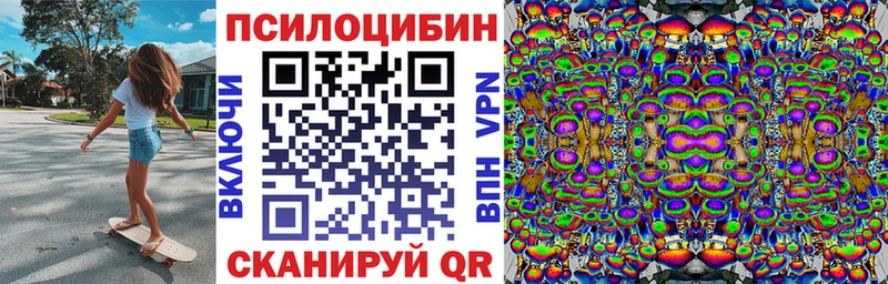 Купить где  Рославль  Псилоцибиновые грибы MAGIC MUSHROOMS 